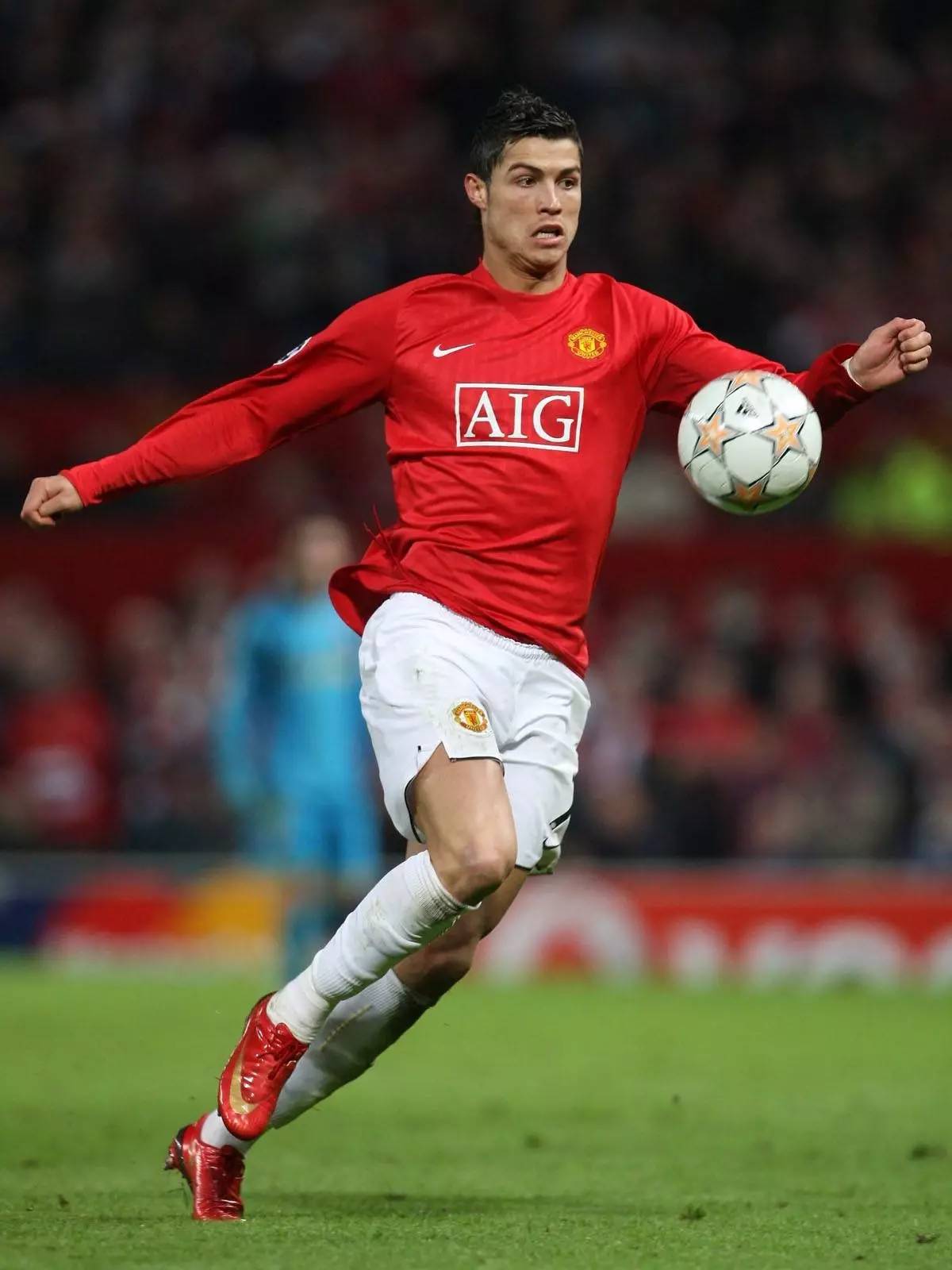 的互有兴趣 的互有兴趣